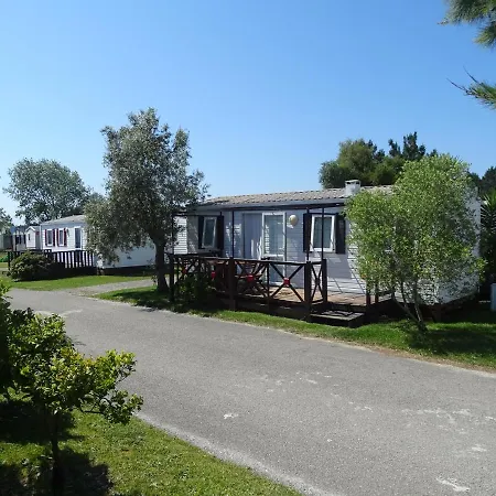 Cloud Nine * 帕塔亚什