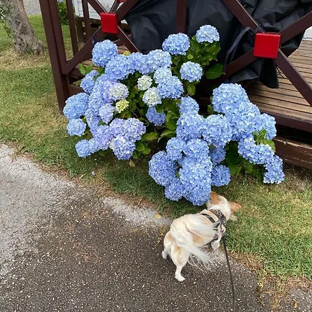 公寓 Cloud Nine 帕塔亚什