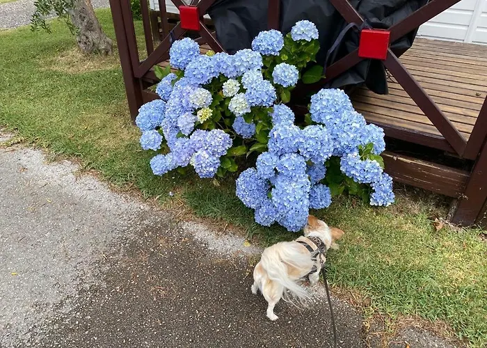 公寓 Cloud Nine 帕塔亚什